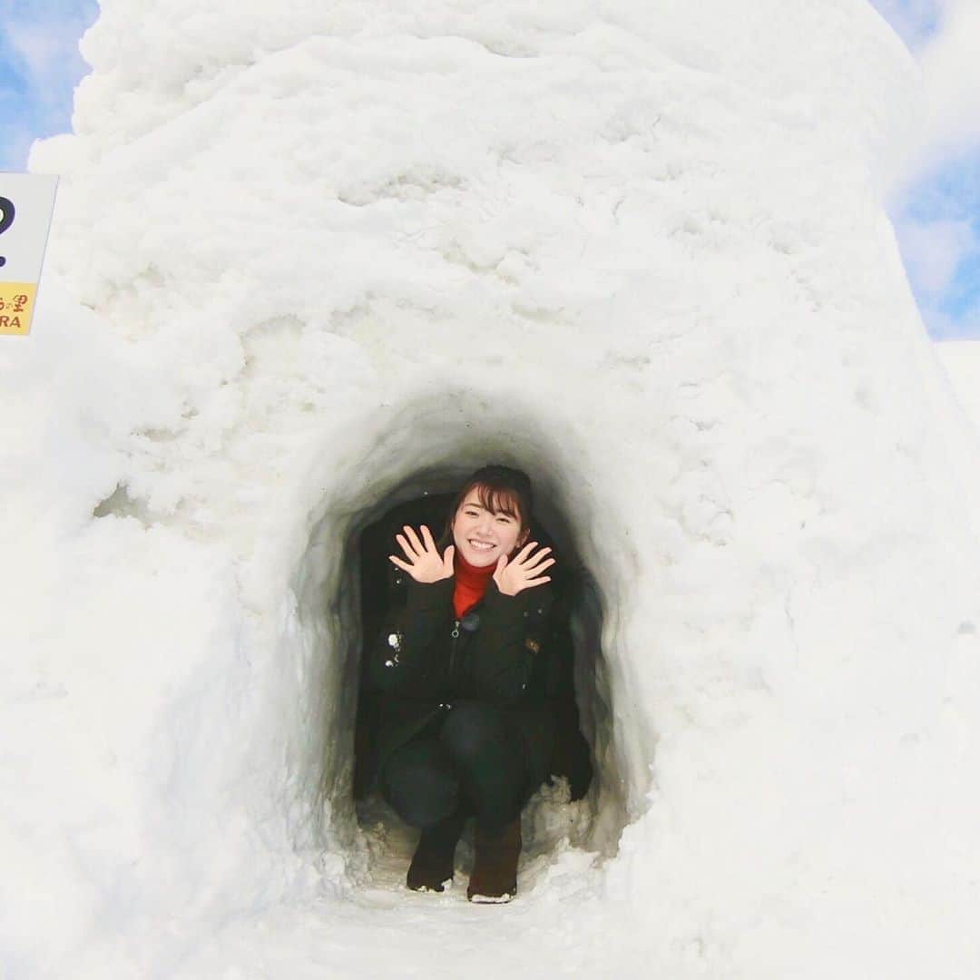 のインスタグラム：「*﻿ ﻿ 大きなかまくらから、こんにちは☃️❅꙳﻿ ﻿ 長野県飯山市にある"かまくらの里"に﻿ 行ってきました♩﻿ ﻿ (雪深い飯山も今年は暖冬の影響で雪が少なく、﻿ 近くの山から雪を持ってきて 25基のかまくらを作ったそう。)﻿ ﻿ このかまくらの中で、お鍋がいただけるんです🍲𓈒𓏸﻿ 信州味噌仕立ての名物のろし鍋。んま~♡﻿ かまくらの中で食べるとまた格別💕﻿ ﻿ かまくらの里は3月1日まで楽しめます❄️*.・﻿ ﻿ _____________________________________________ #石川さん情報liveリフレッシュ #石川テレビ #旅したがーる #信州 #長野 #飯山 #かまくら」