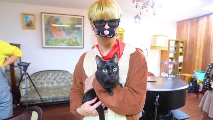 おにさん（ポケットウィズ）のインスタグラム：「めちゃくちゃ猫に嫌われる大人  #猫 #猫好きさんと繋がりたい #cat #catstagram」