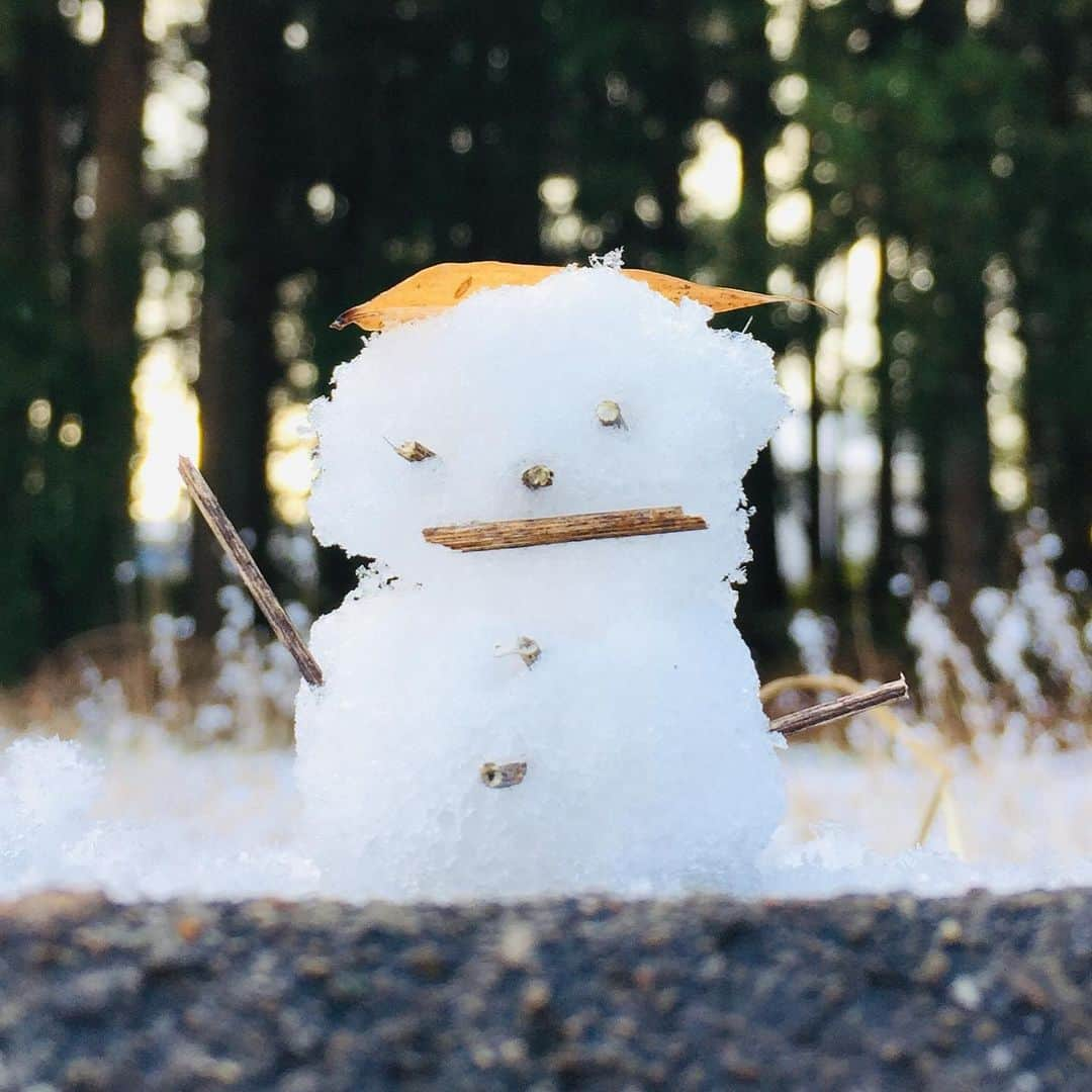 takayuki oheのインスタグラム：「可愛い赤ちゃん雪だるま  #ゆきだるま #snowman #snow」