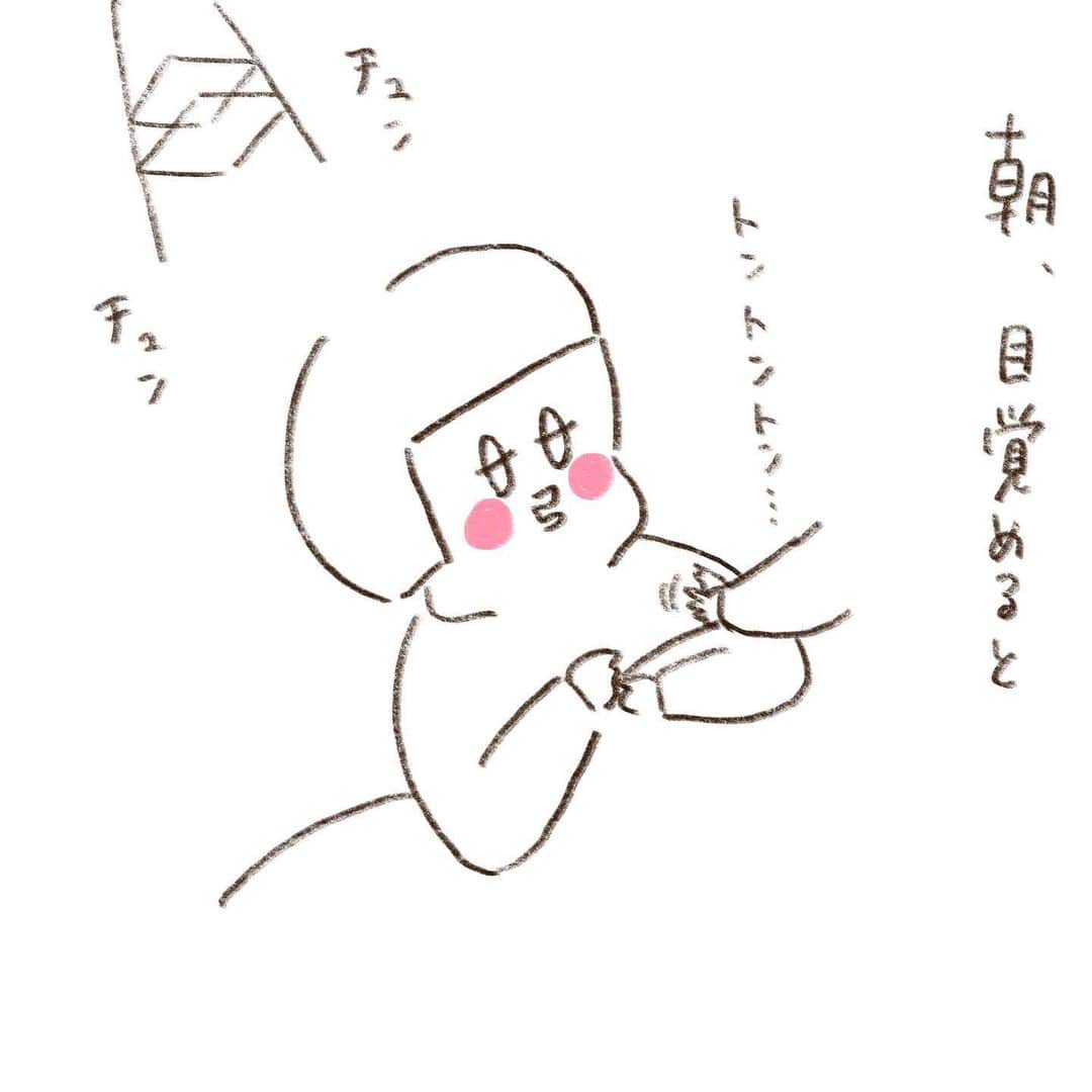 やまもとりえのインスタグラム：「最高の朝です」