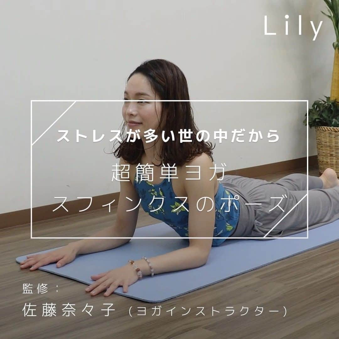 Lilyのインスタグラム