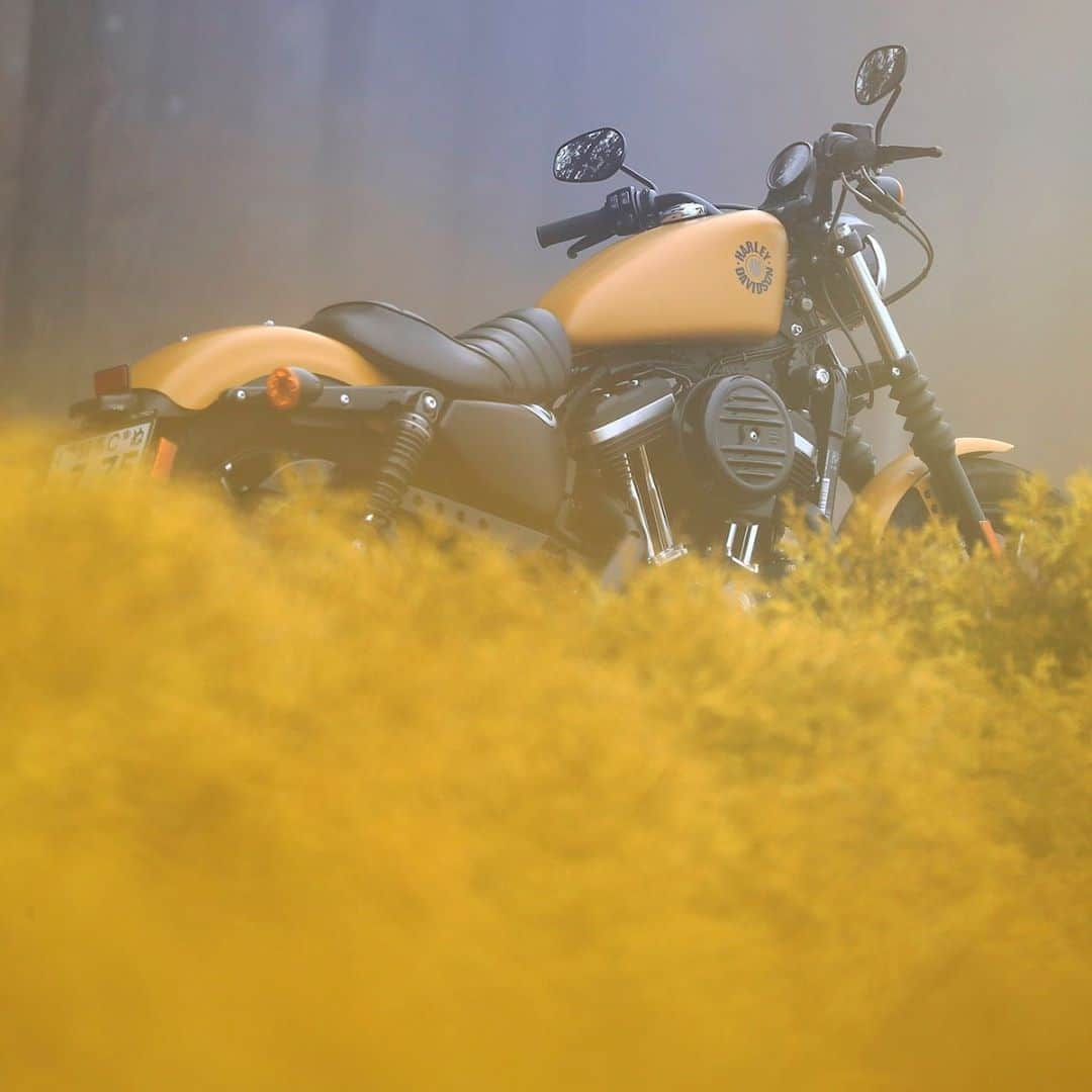 Harley-Davidson Japanのインスタグラム