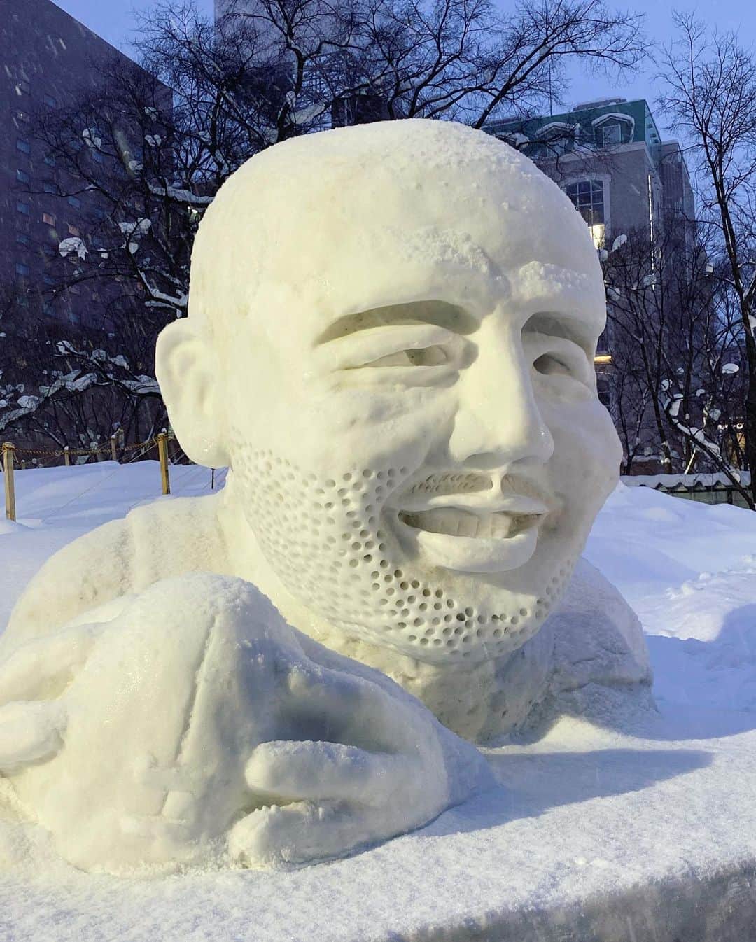 市川愛さんのインスタグラム写真 - (市川愛Instagram)「今年も北海道札幌の雪まつり⛄️に行ってきました！ 雪不足って聞いてたのにしんしん降ってたしめちゃくちゃ雪積もってた❄️ 夜のミクさんはライトアップされてかわいかったー！ 寒すぎてずっと震えてたけど楽しかったあ☃️❄️雪ダイブ☃️ ・ ・ ・  #雪まつり #北海道旅行  #札幌雪まつり #雪ミク #アローラロコン #雪遊び #tatras #louisvuitton #自然のレフ板」2月17日 20時17分 - pkmnai