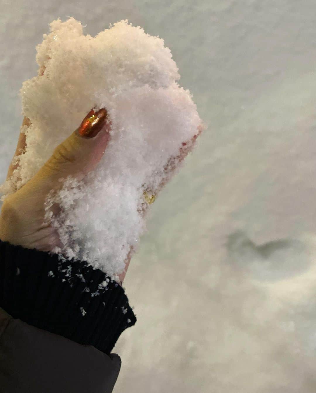 市川愛さんのインスタグラム写真 - (市川愛Instagram)「今年も北海道札幌の雪まつり⛄️に行ってきました！ 雪不足って聞いてたのにしんしん降ってたしめちゃくちゃ雪積もってた❄️ 夜のミクさんはライトアップされてかわいかったー！ 寒すぎてずっと震えてたけど楽しかったあ☃️❄️雪ダイブ☃️ ・ ・ ・  #雪まつり #北海道旅行  #札幌雪まつり #雪ミク #アローラロコン #雪遊び #tatras #louisvuitton #自然のレフ板」2月17日 20時17分 - pkmnai