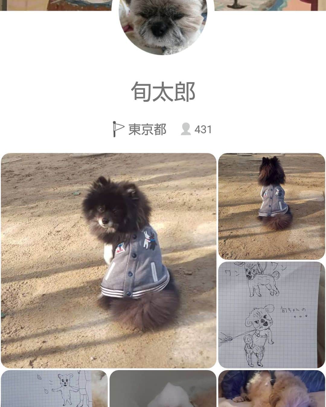 タンゲクンのインスタグラム：「旬的事情 はドコノコに毎日出してます 旬ちゃんの悪いとこの一枚も時々🐨 #旬太郎くん #お絵かき旬ちゃん」