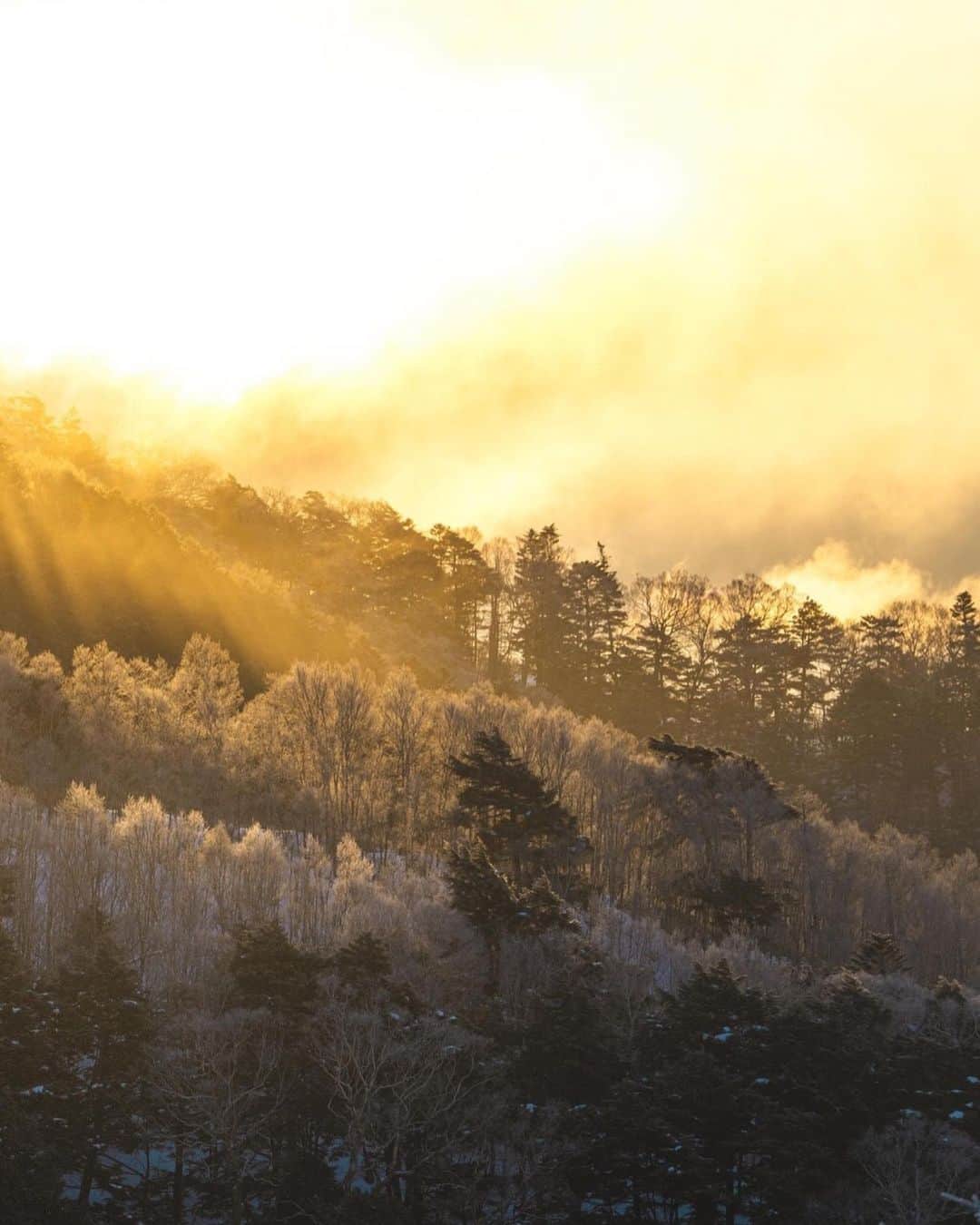 kenta_soyoungさんのインスタグラム写真 - (kenta_soyoungInstagram)「Diamond❄️ . . . . 早朝の雪山は凍るほど寒かったけど楽しい撮影でした。長野最高！」2月17日 20時26分 - kenta_soyoung