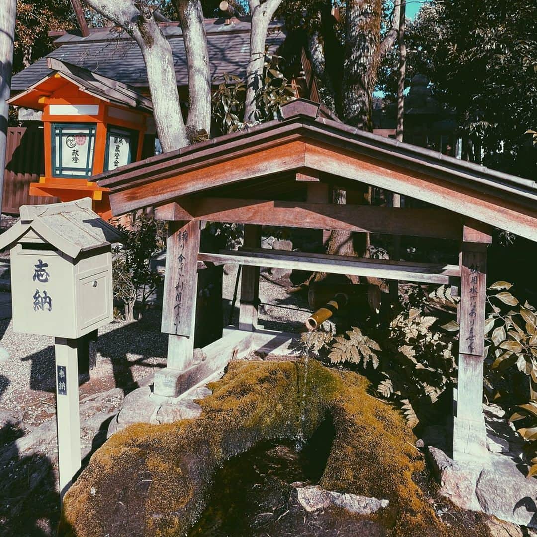 黒石奈央子さんのインスタグラム写真 - (黒石奈央子Instagram)「京都に一泊二日の弾丸旅してきた🚄  八坂神社にいって今年初のおみくじを引いたら  まさかの大吉で嬉しすぎた。  WALDEN WOOD KYOTOってゆうカフェいったり、  と言っても  ほぼグルメの旅で京都の美味しいお店をはしごした😋  ご飯はまた紹介するね！  #京都旅#京都グルメ旅」2月17日 21時12分 - blackstone705