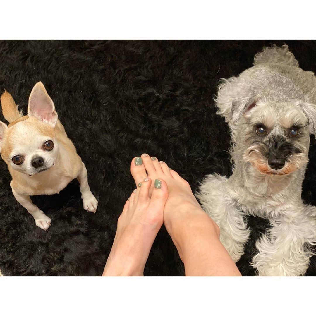 のインスタグラム：「ペディキュア❤️ #lavivi表参道  #色ちゃん姉妹いつもありがとう」