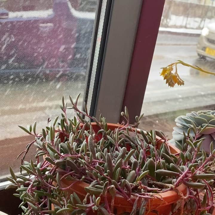 魔女菅原のグルメインスタ