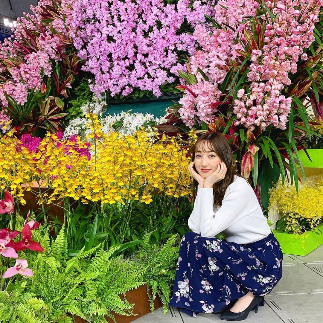 團遥香さんのインスタグラム写真 - (團遥香Instagram)「全部可愛かったー🌼 癒された中継でしたっ ぜーんぶ、蘭らしい🌞 @ntvzip  @beradiance 👗」2月18日 8時02分 - haruka_dan_official