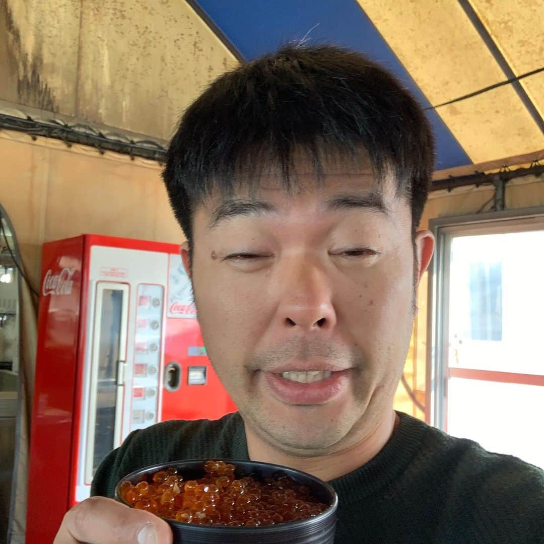 西川晃啓のインスタグラム：「気絶いくら  塩いくらと生醤油いくらに興奮して気絶  #あるある探検隊#レギュラー#気絶#気絶の日々#ギャグ#釧路#ランチ#いくら #大好物#鮭番屋#塩#生醤油#食べ比べ#美味#たまらん#ずっと#食べたい」