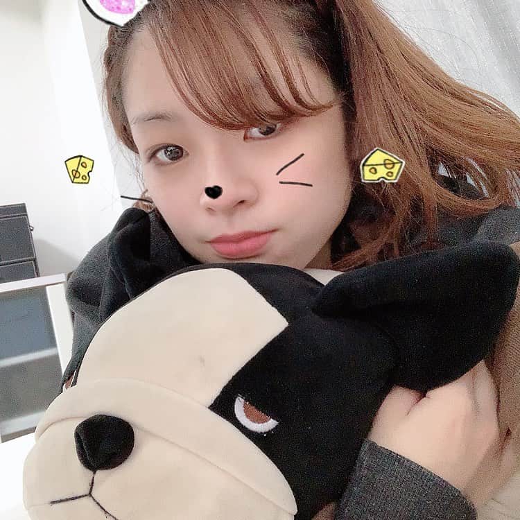 知念紗耶のインスタグラム：「癒しのベーコン🐶 ふわふわ✨だけど変色してきた🤣 #抱き枕　#癒し　#おやすみなさい🌙」