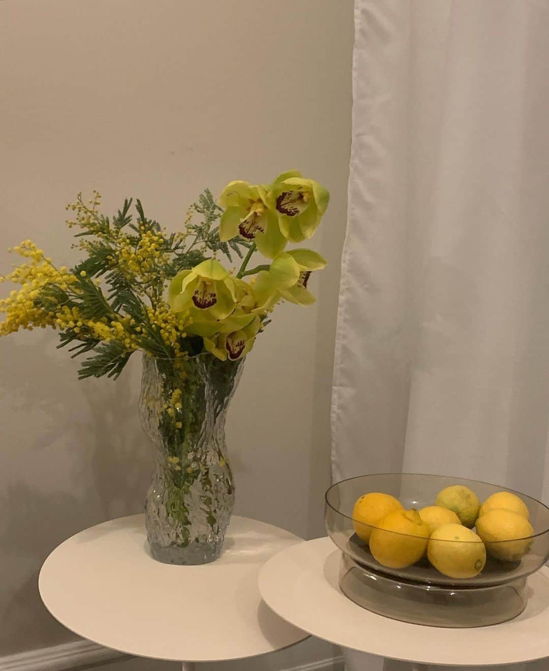 Mathilde Goehlerのインスタグラム：「🍋」