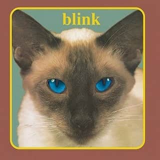 blink-182のインスタグラム：「Happy 25 Cheshire Cat 🎂😽」