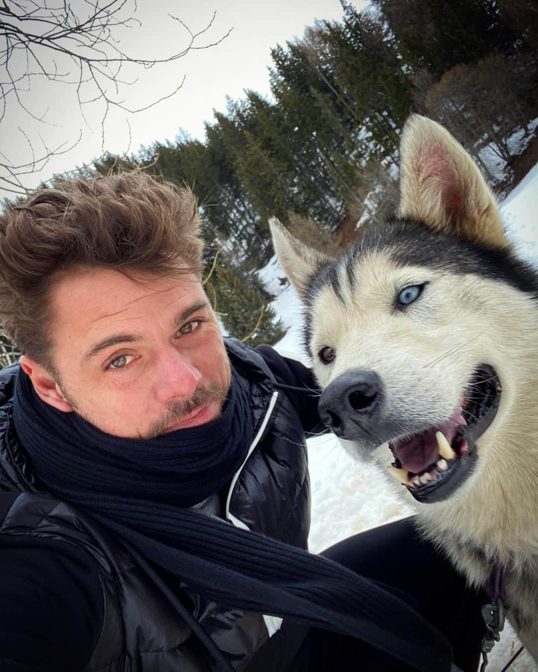 スタニスラス・ワウリンカさんのインスタグラム写真 - (スタニスラス・ワウリンカInstagram)「Such a special experience with these guys today ! 🐕😍🐺🛷❄️🤍 #snow #sleddogs #loveit #mountains #love #dog」2月18日 2時24分 - stanwawrinka85