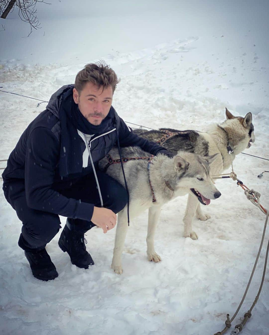 スタニスラス・ワウリンカさんのインスタグラム写真 - (スタニスラス・ワウリンカInstagram)「Such a special experience with these guys today ! 🐕😍🐺🛷❄️🤍 #snow #sleddogs #loveit #mountains #love #dog」2月18日 2時24分 - stanwawrinka85