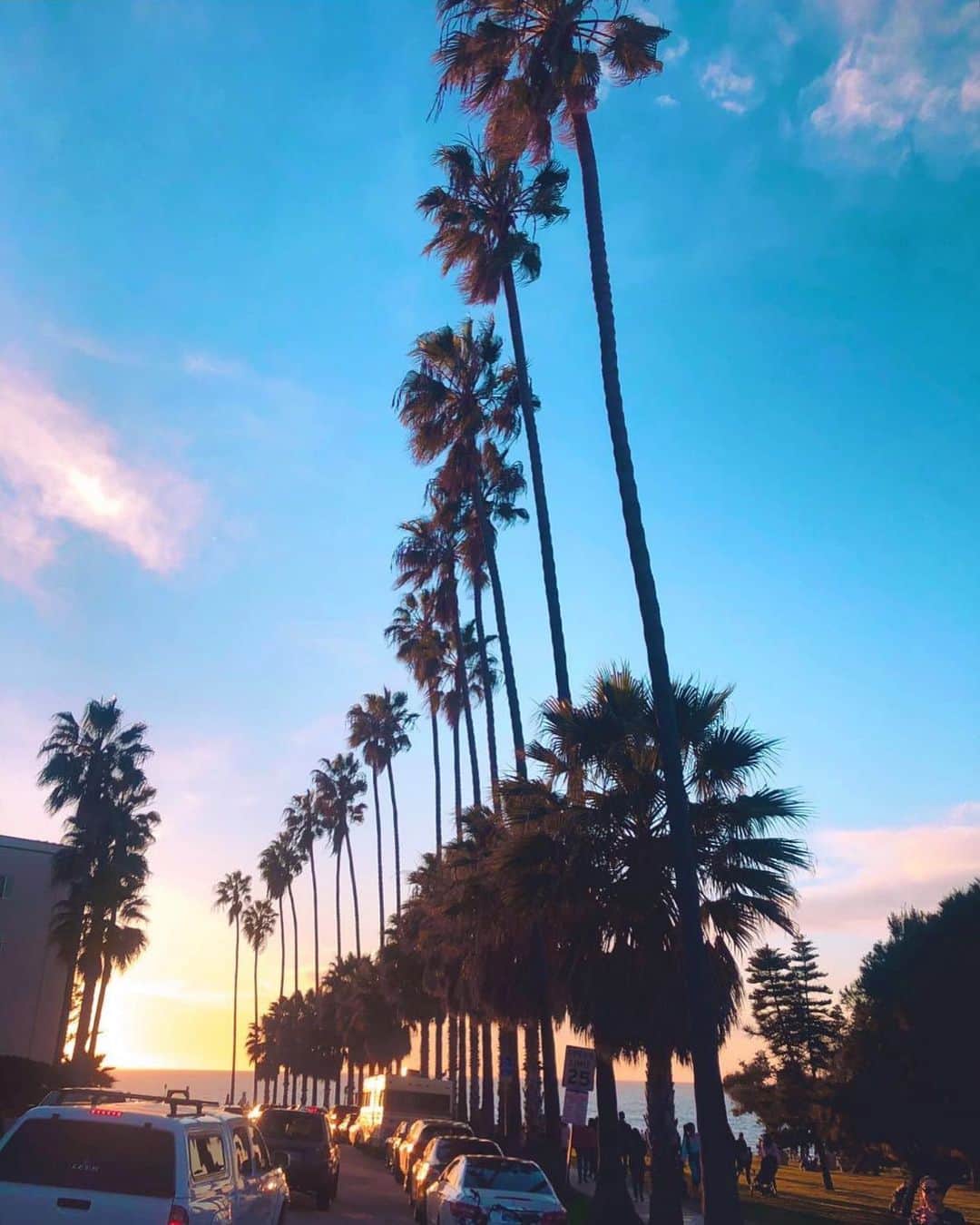 のインスタグラム：「I could live here I love it so much! #lajolla #sandiego #perfection #goldenhour 🌴」