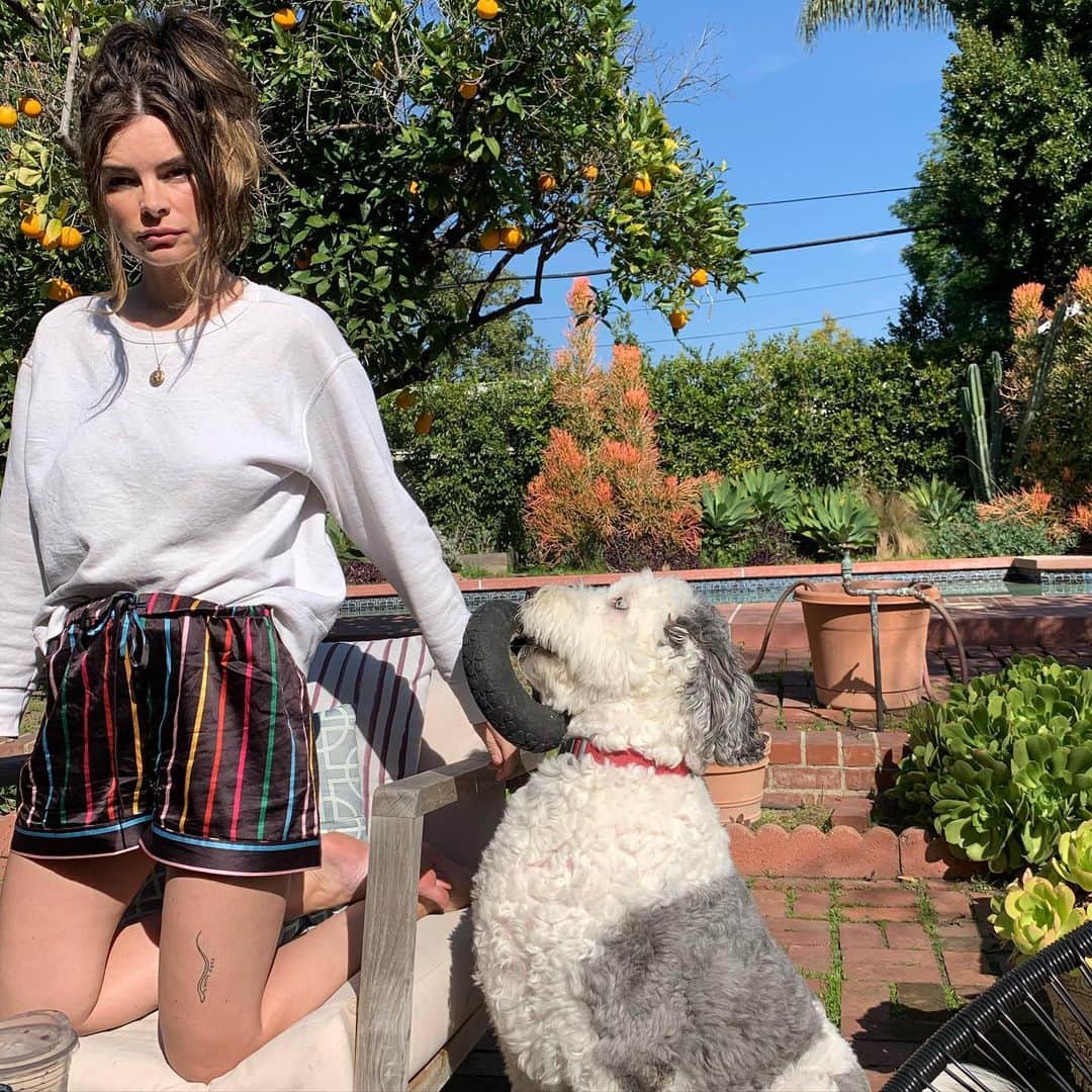 ケリー・オックスフォードのインスタグラム：「My dog is obsessed with this tire. If you’ve been over to my house, you know this. More importantly I wanted to show you my sleep shorts. They’re from my friend @jengotch website @shopbando and they’re still available (I just checked for you)」