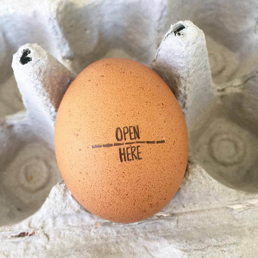 のインスタグラム：「😉 by 👉 FarmhouseMaven @farmhousemavenmarket 👈  #farmhousemaven #farmhousemavenmarket #eggsconcept #readtheinstructions #spiegelei #oeuf #yumurta #huevos #365 #365project #winter #thatsdarling #instagram #instagood #vsco #vscocam #morning #breakfast #breakfasttime #thecreatorclass #hifructose #goodvibesonly #darlingdaily #theeverydayproject #inspiremyinstagram #happytime #winkmagazine #fubiz」