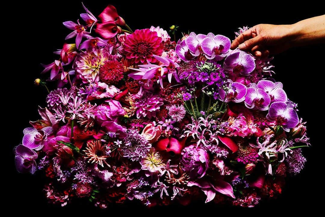 東信さんのインスタグラム写真 - (東信Instagram)「Flowers #amkk #amkkproject #makotoazuma #azumamakoto #東信花樹研究所 #東信 #jardinsdesfleurs #shiinokishunsuke #flowerart #flower #flowers」2月18日 7時11分 - azumamakoto