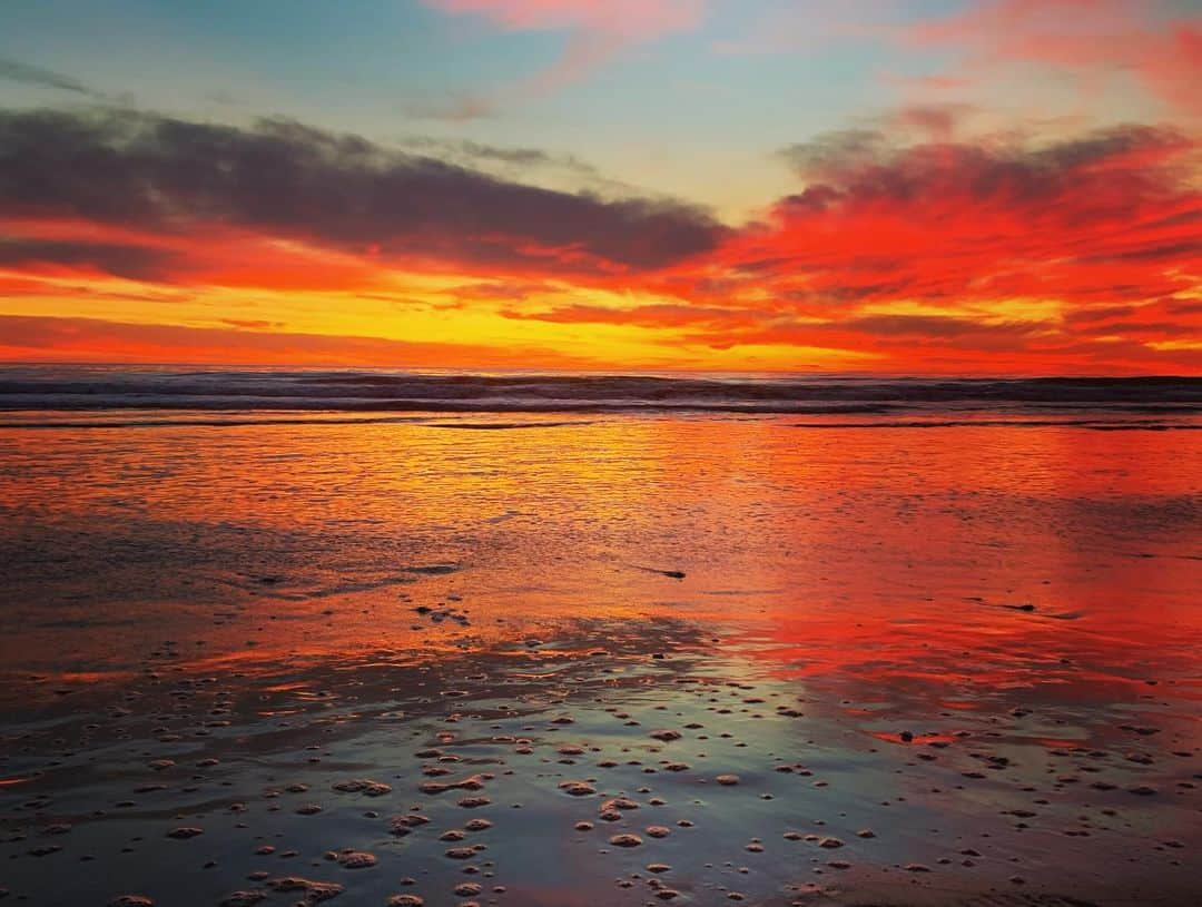 ウィル・リーさんのインスタグラム写真 - (ウィル・リーInstagram)「Venice, California. What’s not to love? #ocean #sunsets #plantdiversity #warmthesoul #thisboyslife」2月18日 7時15分 - unclewilllee