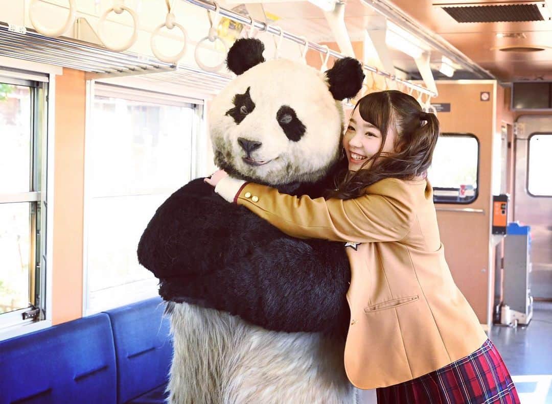 星星（セイセイ）さんのインスタグラム写真 - (星星（セイセイ）Instagram)「🙄 . 🌟Hold on! 🌟つかまって！ . #パンダにつかまるんかい！ . #星星 #パンダ #panda #pandagram #パンダ好きな人と繋がりたい #レイア #相方 #ZIP!」2月18日 17時25分 - seisei_panda