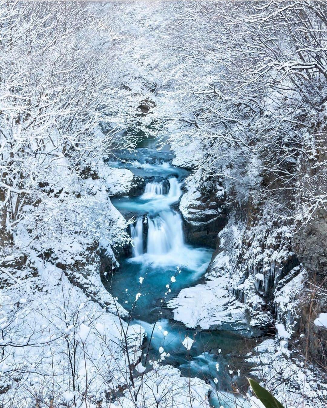 aumoさんのインスタグラム写真 - (aumoInstagram)「【#日本の絶景 × #雪景色 】 . 宮城県にて撮影されたお写真📸 自然が作り出す幻想的な景色は一見の価値ありです❄️. . Credit：@mai_y718 さん 素敵なお写真をありがとうございます！ . あなたが撮影した素敵な写真に 「#aumo」を付けて教えてください♡ あなたの投稿が明日紹介されるかも♪ . aumoアプリは毎日配信！おでかけや最新グルメなどaumo読者が気になる情報が満載♡ ダウンロードはプロフィールのURLから✔︎ (iPhone&Android版) . . #宮城旅行#宮城観光#宮城#日本の景色 #冬#インスタ探検隊 #女子旅#絶景#絶景スポット#旅 #風景写真#雪#カメラ女子部#旅行好き#旅好きの人と繋がりたい#カメラ撮ってる人と繋がりたい#あなたとみたい景色#フォトジェニック #国内旅行 #国内旅行好きな人と繋がりたい」2月18日 17時48分 - aumo.jp