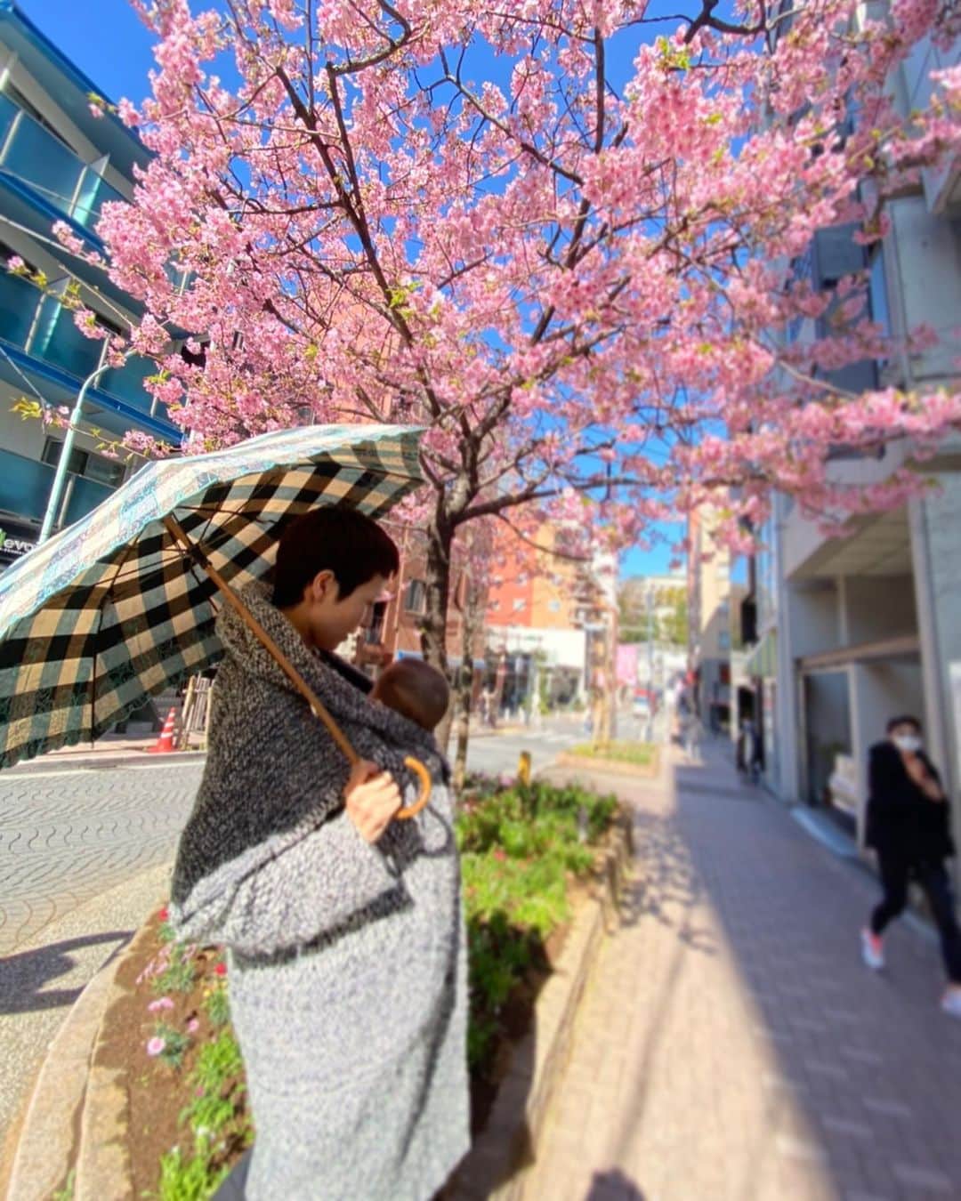 涼紫央さんのインスタグラム写真 - (涼紫央Instagram)「春が近づいてきましたね〜 #生後216日 #生後7ヶ月」2月18日 18時07分 - toitoitoi