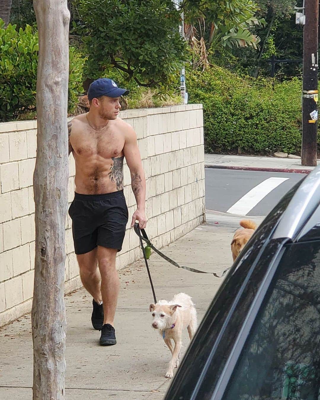 ガス・ケンワージーのインスタグラム：「Pupper-razzi'd 🐕🦊」