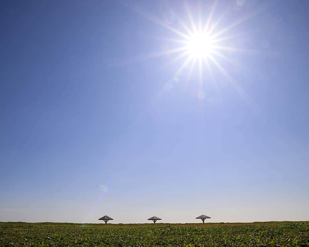 愛知県田原市のグルメインスタ
