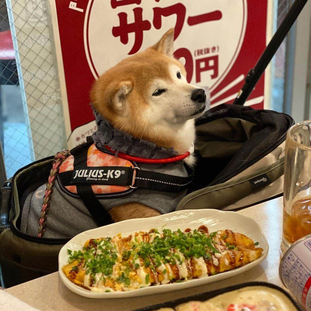 串カツ田中のインスタグラム