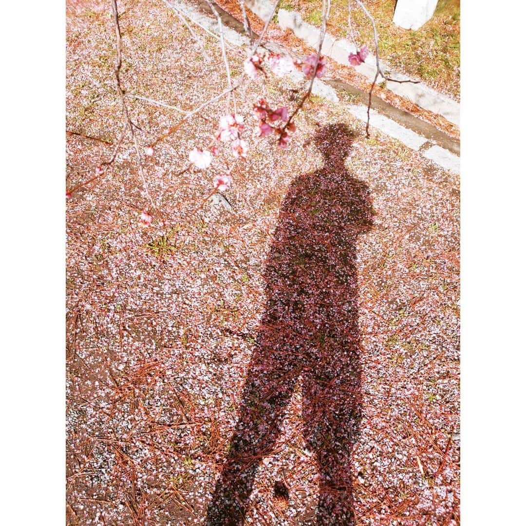 リアド偉武さんのインスタグラム写真 - (リアド偉武Instagram)「Hey Kyoto. Can't wait to see you😎 #晴れてるのと思ったら雪降ってきた #いつか住んでみたい街京都 #おいでやす」2月18日 11時16分 - ibriad_alexandros