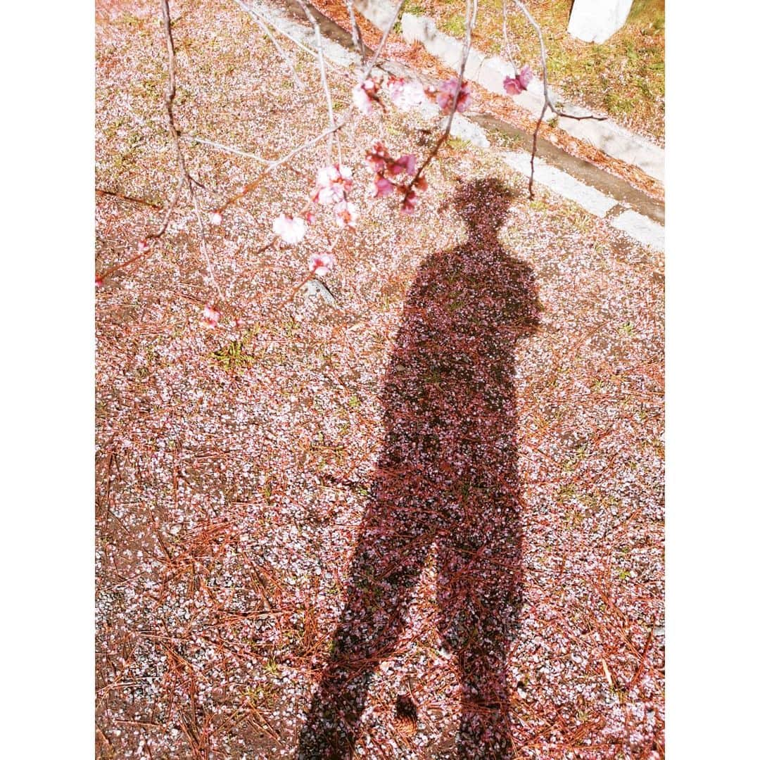 リアド偉武のインスタグラム：「Hey Kyoto. Can't wait to see you😎 #晴れてるのと思ったら雪降ってきた #いつか住んでみたい街京都 #おいでやす」