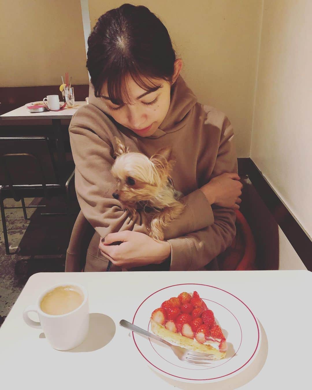横山エリカのインスタグラム：「🐶🍓🙋‍♀️ #strawberrytart #yorkiesofinstagram #yorkielove #tokyo #lilytheyorkie #いちごスイーツ #ヨークシャテリア」