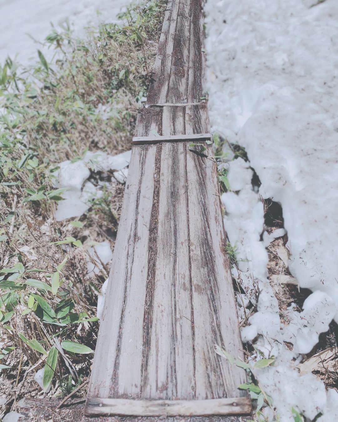 尾瀬旅のインスタグラム：「雪解けの木道。真っ白な雪の中から、芽吹きにつらなる路が顔を出しました。（初春の尾瀬） photo by nousagi  #尾瀬とtepco　#ozextreme　#尾瀬 #oze #尾瀬旅　#discoveroze  #igtravel #instagramjapan  #山が好きな人と繋がりたい  #ファインダー越しの私の世界　 #japantrip #旅の思い出　 #旅好き　#traveljapan　#綺麗な景色　 #かわいい　#美しい　#自然　 #誰かに見せたい景色 #travel　#travelgram #旅行好きな人と繋がりたい　#自然好き #自然好き　#ハイキング　#hike #木道 #japansnow #アート #nipponpic #instagood」