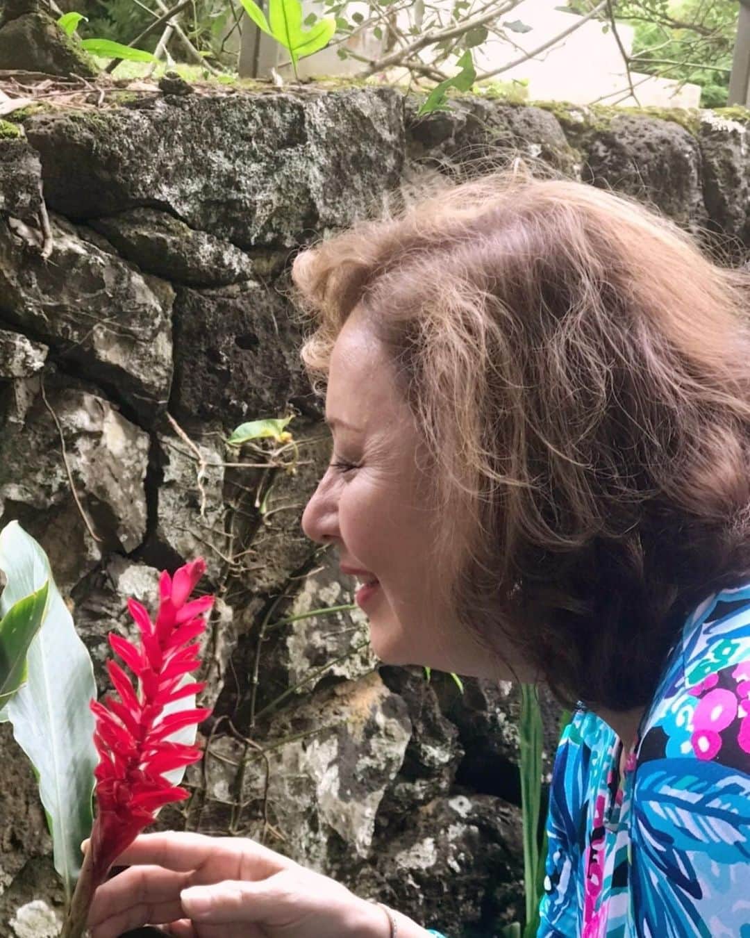 キャシー中島さんのインスタグラム写真 - (キャシー中島Instagram)「*﻿ 今日はランチを#カイルア の﻿ ブーツ&キモズで餅粉チキンとマカデミアンソースのパンケーキを食べに行きます。﻿ ﻿ その前にパリハイウウェイにある﻿ クイーンエマのサマーハウスに来ました。﻿ ここの庭ではハワイ独特の花がたくさんみられます。﻿ ﻿ とはいえ今の時期は花が少ないのですけど…﻿ ﻿ 先ずは#シェルジンジャー 、﻿ みずみずしい白とピンクが美しいです。﻿ ﻿ #レッドジンジャー も凛としていて綺麗です！﻿ ﻿ ほかにも#ピンクジャンボジンジャー や﻿ お薬にもなる#ノニ もみつけました。﻿ ﻿ 老夫婦は花を探して語るのが大好きです😍﻿ ﻿ クイーンエマのサマーハウスは﻿ 先日の強い風で鎧戸が壊れていました。﻿ 維持するのも大変だと思います。﻿ オアフに来たら是非いらしてくださいませませ❣️﻿ ﻿ #キャシー中島﻿ #キャシーマム﻿ #kathynakajima#kathymom﻿ #ハワイ#オアフ島#夫婦#夫婦旅﻿ #勝野パパ﻿ #hawaii」2月18日 13時35分 - official_kathynakajima