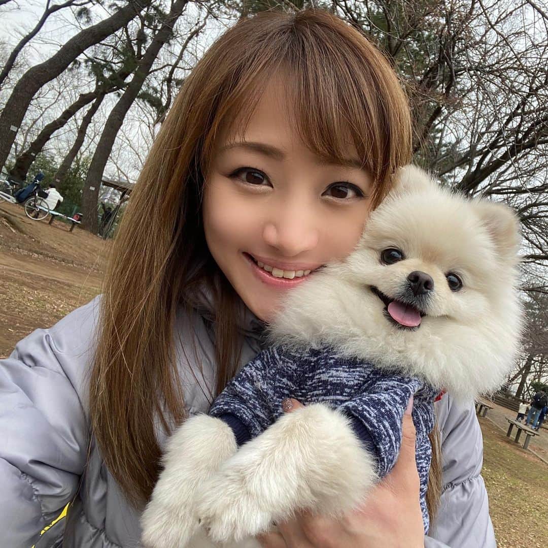 葵ゆりかのインスタグラム：「おもちとわたし🐶❤️ ふわふわもこもこ食べちゃいたいくらい可愛い😍  #愛犬　#おもち　#pomeranian #ポメラニアン #ポメ　#白ポメ　#ふわふわ　#もこもこ　#instadog #親バカ部 #dogstagram #犬バカ部　#わんこ　#犬 #dog #いぬすたぐらむ #ポメラニアンが世界一可愛い #ポメラニアン大好き」