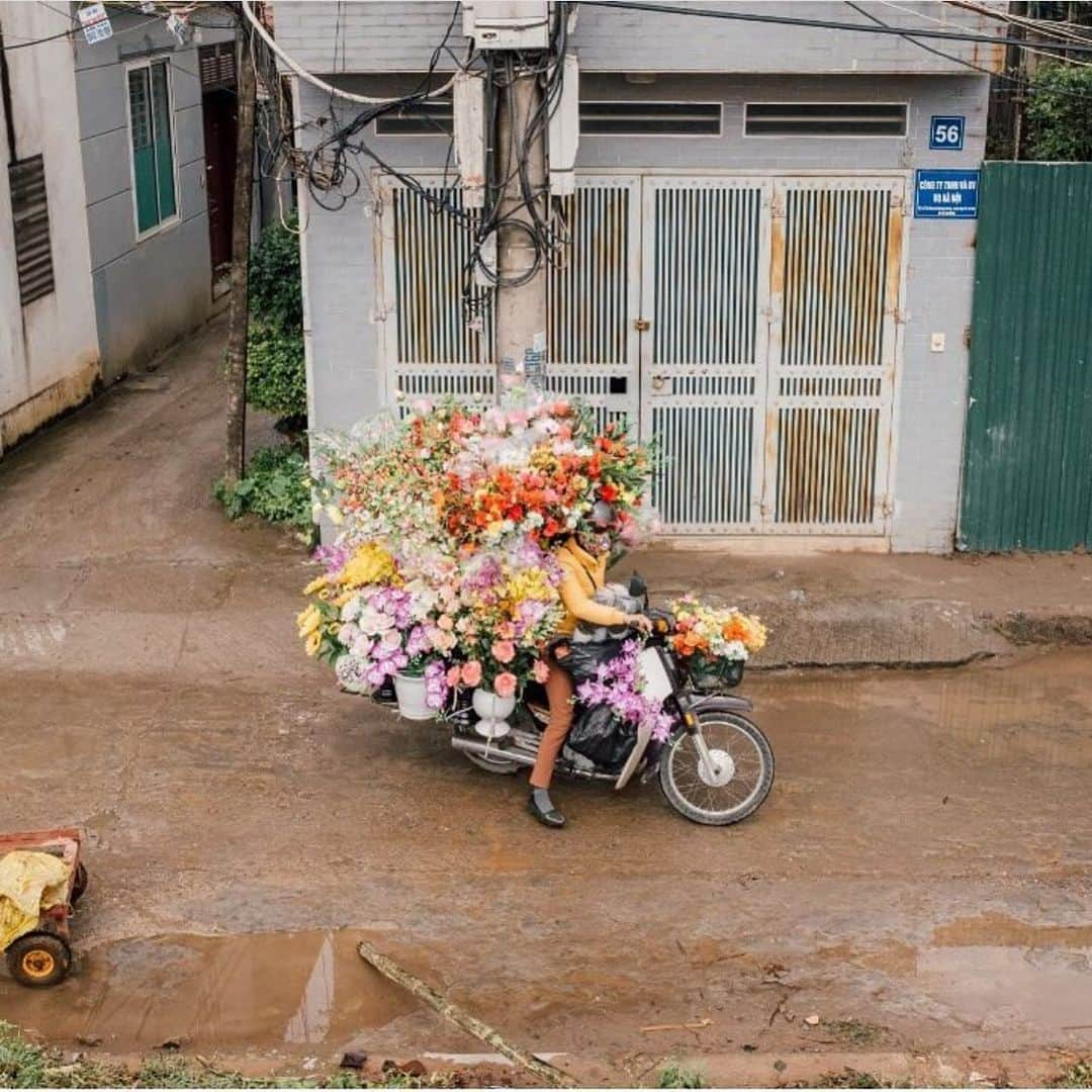 ジュヨン さんのインスタグラム写真 - (ジュヨン Instagram)「댓글에 베트남이냐구 많이 물어보시길래.. 전 한국이구요 그냥 사진이 예뻐서 올려봤습니당 ✨🤗」2月18日 14時26分 - jupppal