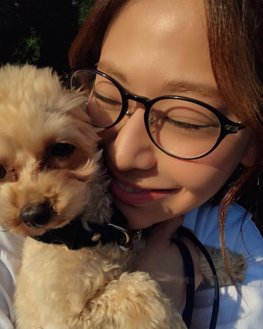 希帆さんのインスタグラム写真 - (希帆Instagram)「☀️☀️☀️☀️🐕💤💤💤💤💕💕💕」2月18日 16時03分 - k_i_h_o_