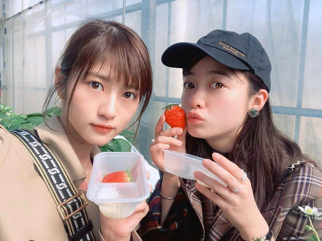 若月佑美さんのインスタグラム写真 - (若月佑美Instagram)「. #橋本環奈　と　#若月佑美 . わかんな かんなづき . . 次は清野氏と鍋 . . #いちご狩り #あきひめ #練乳 #今日から俺は #シグナル100 #コンビ」2月18日 16時04分 - yumi_wakatsuki_official