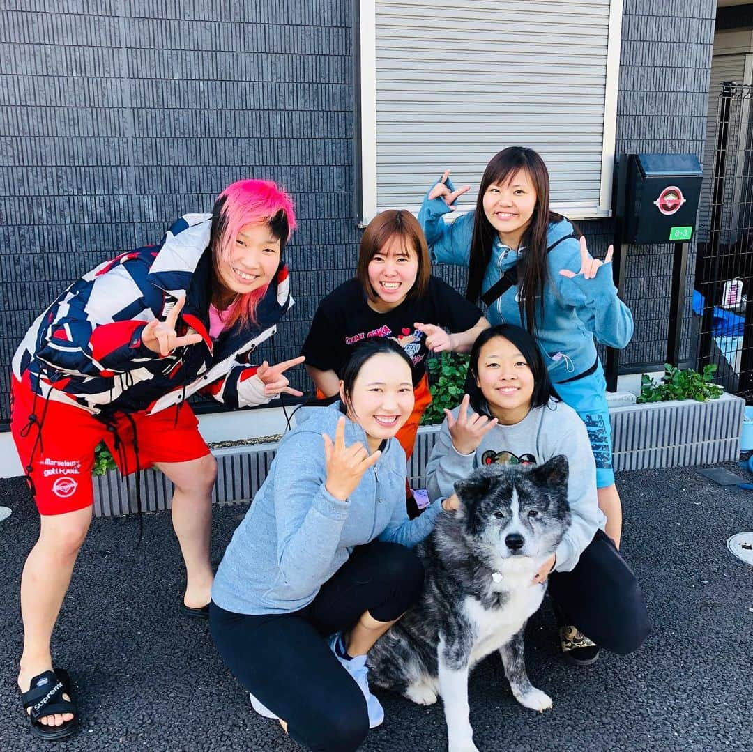 小祝さくらさんのインスタグラム写真 - (小祝さくらInstagram)「今日はmarvelousプロレス道場に保護犬の春馬くんに会いに行ってきました😍秋田犬で人懐っこくて癒されました！ もう1匹うどんちゃんにも会えてとても可愛かったです🐶💛 プロレスラーのみんなもとても気さくで可愛いくこれから応援したいなと思いました✨✨ #保護犬」2月18日 16時09分 - sakura_koiwai_official