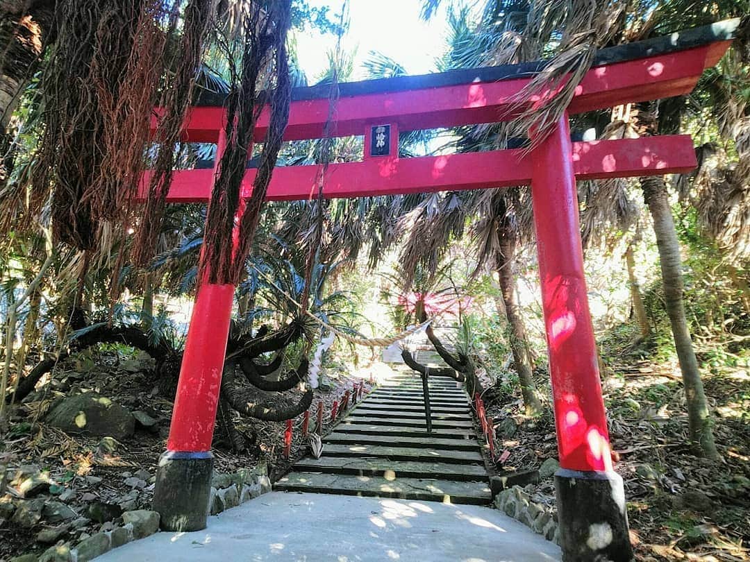 旅行比較サイト・トラベルコ 理想の旅を、いちばん安く。さんのインスタグラム写真 - (旅行比較サイト・トラベルコ 理想の旅を、いちばん安く。Instagram)「＼遠くて遠くて、最果て感がハンパない！／﻿ ﻿ ここは #九州 #鹿児島県 にある #本土最南端 の #佐多岬﻿ ﻿ 鹿児島市内からでもフェリーや車などを乗り継いで3時間近くはかかる、大隅半島のいちばん南にある岬！　鹿児島の方言で、端っこを意味する「すんくじら」という言葉があるのですが、佐多岬はまさにそんな最果ての場所です👀﻿ ﻿ さて、佐多岬の展望台に立ってみると、目の前に水平線が広がり、地球が丸いことを改めて実感できます！﻿ 天気が良ければ、海上には種子島や屋久島を望むことができ、右手の薩摩半島側には“薩摩富士”とも呼ばれている #開聞岳 の美しいシルエットも🗻﻿ 岬の先端、大輪島の上には佐多岬灯台が建っていて、遠目に見せる丸くて白い帽子をかぶったような姿が、なんだかちょっぴりキュートです♪﻿ ﻿ ちなみに、佐多岬がある場所は北緯31度。駐車場の近くには、北緯31度ラインを示すモニュメントがあります。バイクで本土最南端を目指して来る人も多いようで、ライダーの人たちも、この北緯31度モニュメントの前で記念撮影していました📷　北緯31度というと、エジプトのカイロや、中国の上海などと同じ緯度。そう考えると、日本の中でも、やっぱり南にいるんだな…と実感します☀﻿ ﻿ また、岬へ向かう遊歩道の途中には、御崎神社という神社があります⛩　なんでも、縁結びにもご利益があるのだとか♥　かつて鹿児島県や宮崎県は新婚旅行で訪れる人が多かったエリア♪　周囲はソテツの木などに囲まれて、南国ムードがただよっている場所ですので、暖かさを求めて佐多岬を旅してみるのもいいかもしれませんよ✨﻿ ﻿ 駐車場のところにある佐多岬観光案内所では、「すんくじらの塩」や「佐多岬到達証明書」なども販売していますので、記念のお土産に買ってみてはいかがでしょうか？﻿ *﻿ *﻿ *﻿ あなたが訪れた旅先での写真に《 @travelko_chan 》《 #トラベルコ 》《 #travelko 》とタグ付けして投稿してみてください！こちらのアカウントで紹介させていただくかもしれません♪﻿ *﻿ *﻿ *﻿ #鹿児島 #佐多岬 #南大隅町 #九州 #本土最南端 #開聞岳 #国内旅行 #kagoshima #travel #trip #japantrip #japantravel #sightseeing #フォトジェニック #旅行好きな人と繋がりたい #写真好きな人と繋がりたい #女子旅 #一人旅 #カメラ女子 #カメラ男子 #photooftheday #followme #instatravel #travelgram #instagood #instaphoto #travelko #トラベルコ #トラベルコちゃん﻿ @minamiosumi_official」2月18日 18時49分 - travelko_official