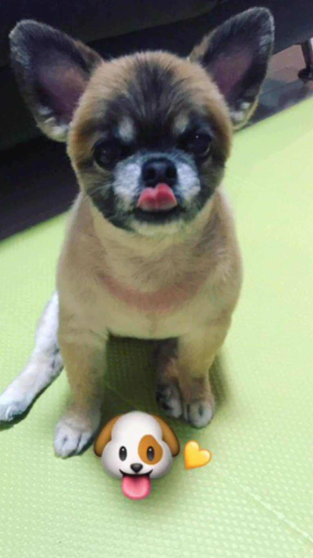 Kahonnaのインスタグラム