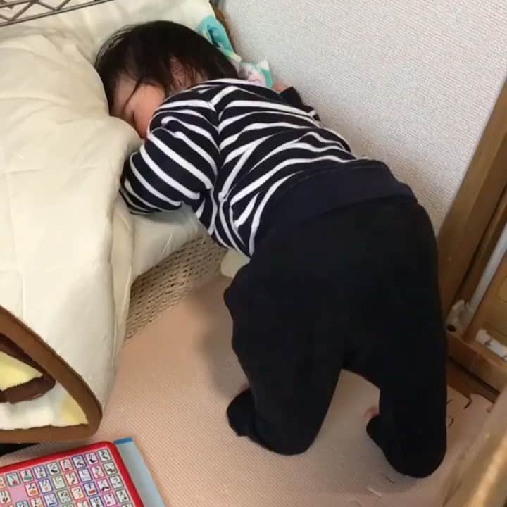 コドモノ！写真部のインスタグラム