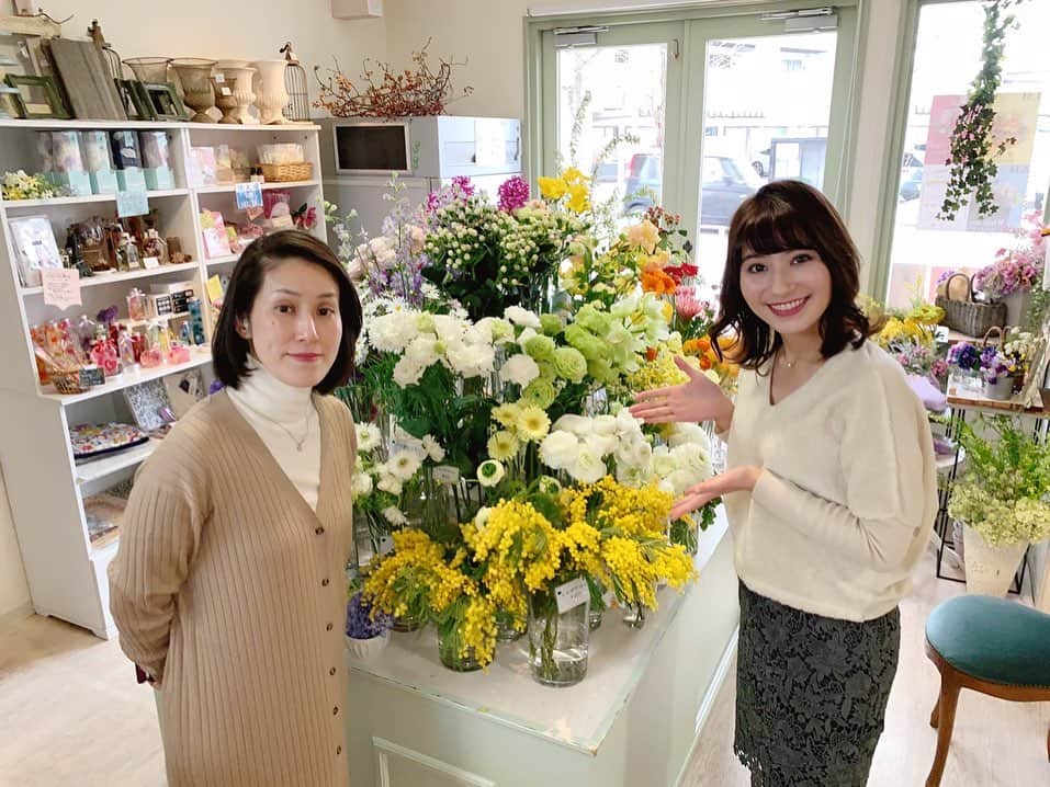 澤田愛美さんのインスタグラム写真 - (澤田愛美Instagram)「. 今日は青森市の 花と雑貨の店Y's Styleで 春の花、ミモザの取材を😊✨ 3月8日のミモザの日、イタリアでは 男性から女性へミモザを贈るそう❤️素敵😆 あすのスーパーJチャンネルABAの 天気コーナーで放送予定です。 ぜひご覧ください❣️ .  #ミモザ」2月18日 20時43分 - amy____oxox