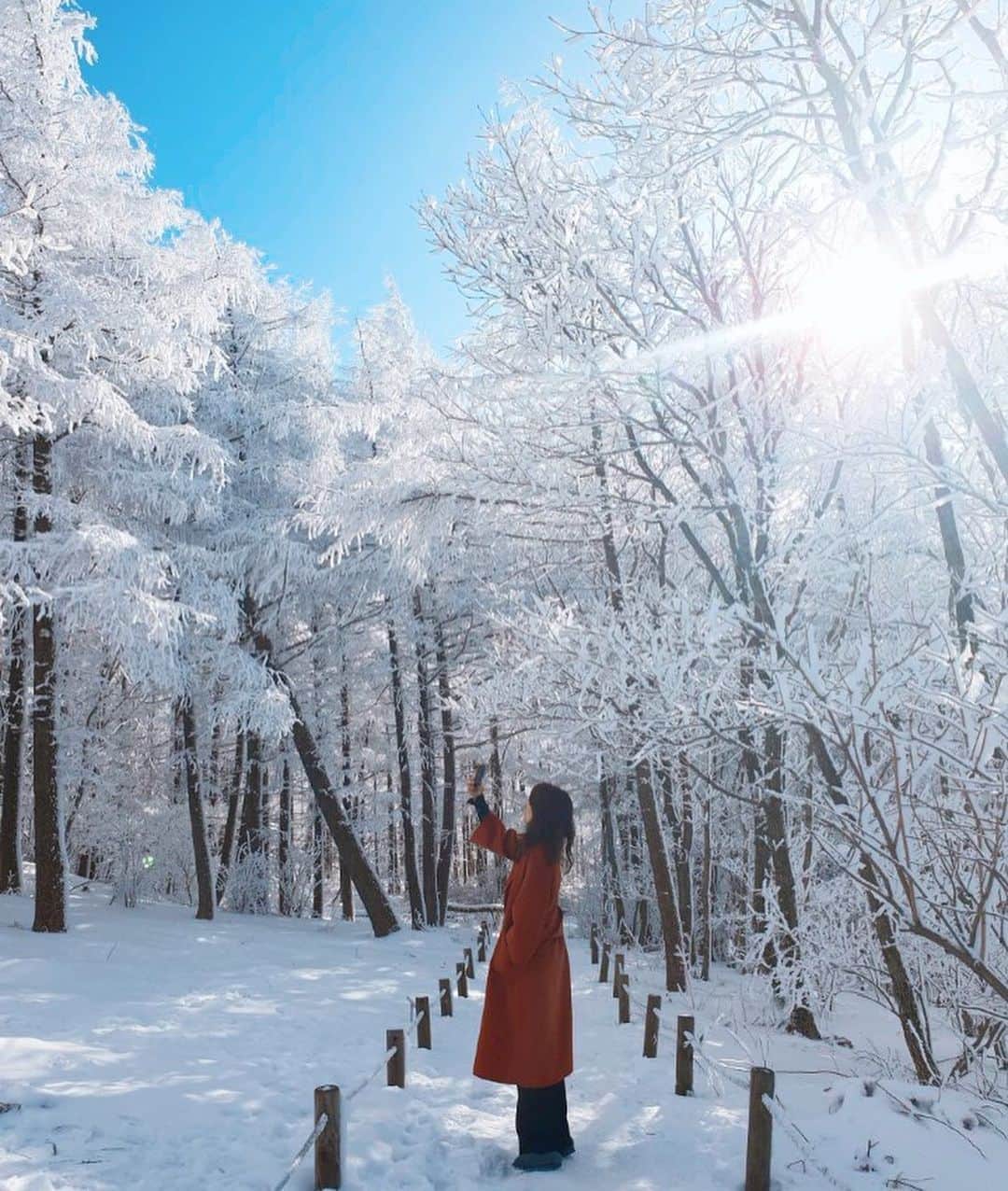キム・ソラさんのインスタグラム写真 - (キム・ソラInstagram)「촬영하러 왔다가❄️❄️❄️ 겨울왕국을 만났당⛄️⛄️⛄️」2月18日 20時59分 - sora.o_o