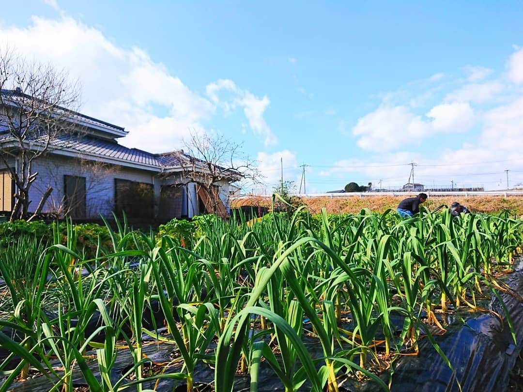 青木淳也さんのインスタグラム写真 - (青木淳也Instagram)「* * * 今日は【㊙捜査一家！相方】ロケ！ 今回のテーマ→→→→→ 《父の故郷で叶えた夫婦の夢》 ブルーリバーが徹底的に捜査！ * スタッフさんもえみりィーさんが 早く帰って来るのを待ってます！ えみりィーさん！ 待ってますよー！ * 熊ちゃんものんびり。 快晴の畑でゆっくり過ぎる時間。 * FBS『めんたいワイド』 毎週金曜日16:00頃～オンエア！ 是非！ご覧くださぁーい！ * * #ブルーリバー #えみりィー #FBS #めんたいワイド #捜査 #相方 #グルメ #お得 #お得情報 #情報 #疑問 #話題 #福岡グルメ #オススメ #ファッション #スポット #福岡 #fukuoka #picture #photo #感謝」2月18日 21時05分 - blueriveraoki