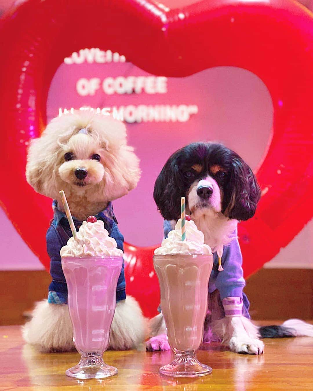 campusのグルメインスタ