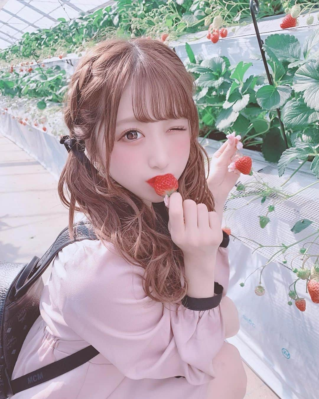 田口未彩さんのインスタグラム写真 - (田口未彩Instagram)「🎀 . . イチゴ狩り行ってきた〜🍓 何個食べたんだろ🥺おいしかった！ . 越谷レイクタウンのめちゃ近くにある、 いちごタウンってとこ🎀🎀 . . #いちごタウン　#越谷いちごタウン　#いちご狩り　#いちご　#ロジータ　#ツインテール　#編み込みツインテール　#ヘアアレンジ　#量産型女子　#量産型コーデ　#ワンピース　#量産型　#リボンアレンジ　#MCM  #mcmリュック #地雷　#地雷女　#メイク　#量産型メイク #たれ目メイク　#イチゴタウン　#越谷イチゴタウン　#隠しきれないヲタク  #隠しきれないオタク」2月18日 22時14分 - miiro_taguchi