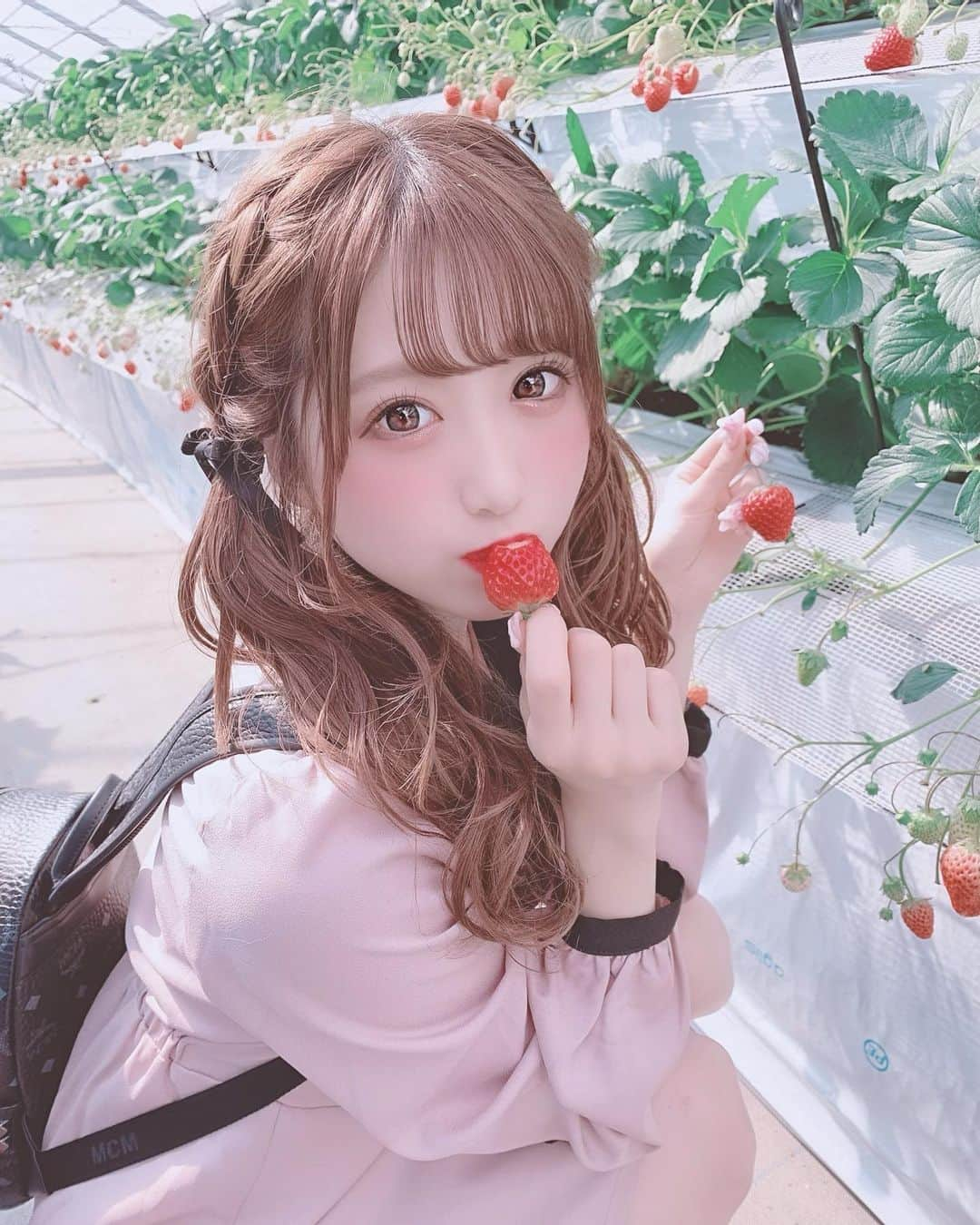 田口未彩さんのインスタグラム写真 - (田口未彩Instagram)「🎀 . . イチゴ狩り行ってきた〜🍓 何個食べたんだろ🥺おいしかった！ . 越谷レイクタウンのめちゃ近くにある、 いちごタウンってとこ🎀🎀 . . #いちごタウン　#越谷いちごタウン　#いちご狩り　#いちご　#ロジータ　#ツインテール　#編み込みツインテール　#ヘアアレンジ　#量産型女子　#量産型コーデ　#ワンピース　#量産型　#リボンアレンジ　#MCM  #mcmリュック #地雷　#地雷女　#メイク　#量産型メイク #たれ目メイク　#イチゴタウン　#越谷イチゴタウン　#隠しきれないヲタク  #隠しきれないオタク」2月18日 22時14分 - miiro_taguchi